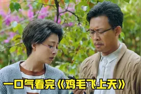 一口气看完《鸡毛飞上天》P大结局视频封面
