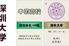 中国大学综合排名100强（软科、武书连均值）视频封面