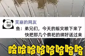 野生鱼群全靠这帮钓鱼佬养着呢 #搞笑 #神评论 #专治不开心视频封面
