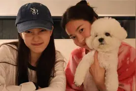秀智晒与宋慧乔合照，抱小狗画面温馨有爱，两大韩剧美女各有特色视频封面