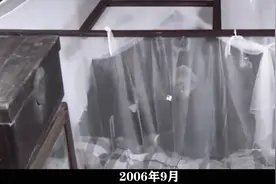 18年刘平平植物人，王光美悲伤欲绝，直至去世未等来女儿苏醒视频封面