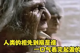 人类的祖先到底是谁？一口气看完起源的故事视频封面
