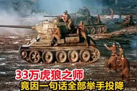 33万虎狼之师，竟因为一句话全部举手投降！德国元帅之殇，战争片视频封面