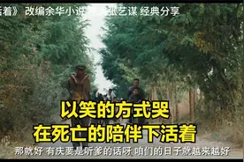 《活着》影视经典视频封面