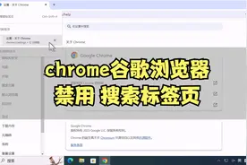 chrome谷歌浏览器没了牛皮癣加了搜索标签页视频封面