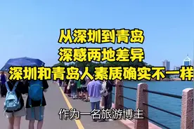 从深圳到青岛，深感两地差异，深圳和青岛人素质确实不一样视频封面