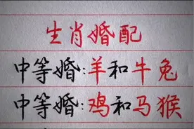 生肖婚配（仅供娱乐）-副本视频封面