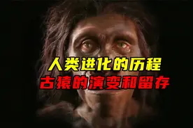 人类进化的历程，古猿的演变和留存视频封面