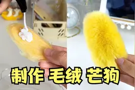 挑战用芒果核制作“毛绒芒狗”！视频封面