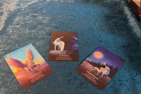 命运会带你们去往何处？视频封面