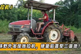 铁锤妹野外发现挖掘机，修复后喜犁三亩地！视频封面