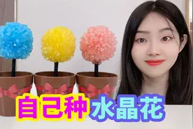 简单方法就能种水晶花，可以种出各种颜色的水晶，实在太漂亮了视频封面