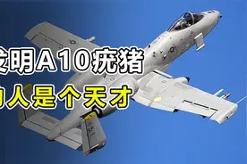 发明美国“A10疣猪”攻击机的人真是个人才视频封面