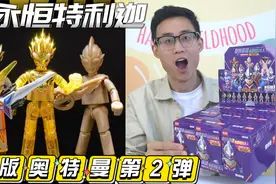 布鲁可奥特曼第2弹为啥成绝版货？隐藏款永恒特利迦，竟一个难求视频封面