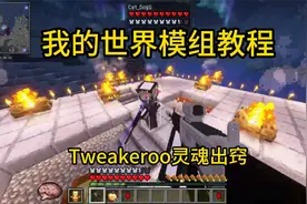 我的世界Tweakeroo模组，灵魂出窍保姆级教程