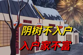 “阴树不入户，入户家不富”，三种阴树家里不能种，你知道吗？视频封面