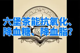 六堡茶能抗氧化、降血糖、降血脂？