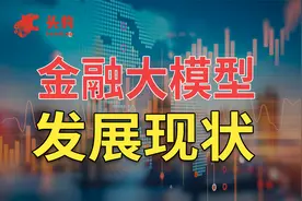 金融大模型行业研究：深度分析金融大模型的发展现状视频封面