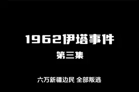 【伊塔事件】亮剑丁伟没骗我：有边无界，有边无防视频封面