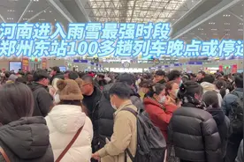 河南进入雨雪最强时段，实地探访郑州东站100多趟列车晚点或停运视频封面