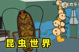 氰化秀之昆虫世界，人类和昆虫地位转换，变成了被社会讨厌的生物视频封面