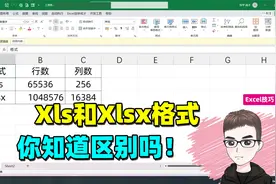 Excel技巧：Xls和Xlsx格式区别，一不小心就出错！