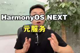 鸿蒙NEXT的王炸功能——元服务视频封面