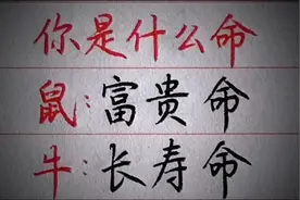 12生肖是什么命。视频封面