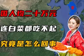 韩国人均年薪20万，却连白菜都吃不起，这究竟是怎么回事？视频封面