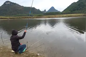 野钓 ：大型水库里的鱼就是多，小伙30分钟狂拉几十条，过瘾了视频封面