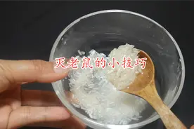 家里进了老鼠别着急，只需一个简单方法，来多少灭多少，太省事了视频封面