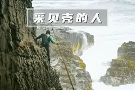纪录片：贝壳猎人跃下百米悬崖，在巨浪里过着有惊有险的生活视频封面