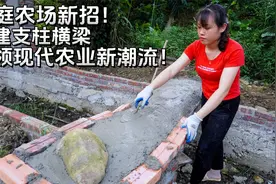 家庭农场新招！搭建支柱横梁，引领现代农业新潮流！视频封面