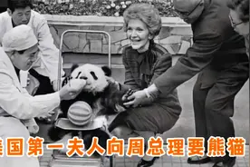 尼克松访华期间，第一夫人对我国大熊猫情有独钟，中国慷慨相送视频封面