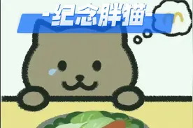 纪念胖猫，对自己好点！视频封面