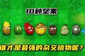 植物大战僵尸：10种坚果，谁更厉害？视频封面