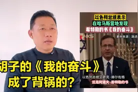 小胡子的《我的奋斗》成了背锅侠视频封面