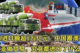 总进口额超1万亿元，中国跟澳大利亚做贸易，究竟都进口了什么？视频封面