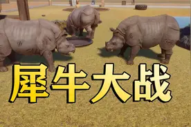 听你们的养犀牛，这下好了差点打没了！【动物园之星#3】