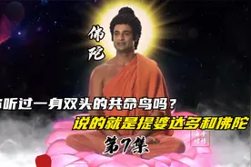 第7集-你知道提婆达多为什么跟佛陀过不去吗？宿世因缘，共命之鸟视频封面