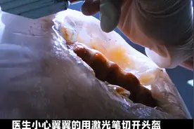男人的被抱脸虫死死的裹住 #电影解说.视频封面