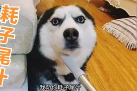 配音：它现在这个表情我能出门吗？为啥我总感觉不踏实呢视频封面