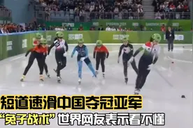 外国热评中国短道速滑夺冠，兔子战术让各国网友想破脑子看不懂视频封面