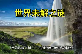 世界最毒之树 —— 见血封喉的传奇与奥秘视频封面