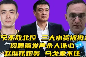 辽宁不敌北控！三大水货被揪出，闵鹿蕾发声杀人诛心，赵继伟炮轰视频封面