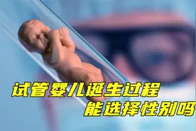 试管婴儿诞生全过程，揭秘试管婴儿是怎样诞生的视频封面
