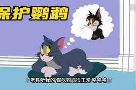 搞笑配音：布奇想抓走鹦鹉，可过程告诉它没那么容易！