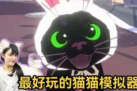 猫奴必玩游戏！小猫咪大城市，最好玩的猫咪模拟器！视频封面