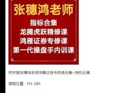 财学堂张穗鸿老师高阶课+指标合集视频封面