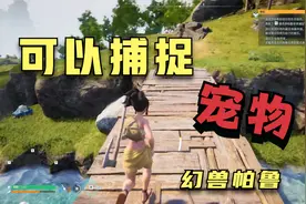 可以捕捉宠物的生存游戏！！第一期【幻兽帕鲁】视频封面